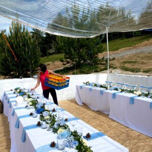Elena and Peter's Wedding
